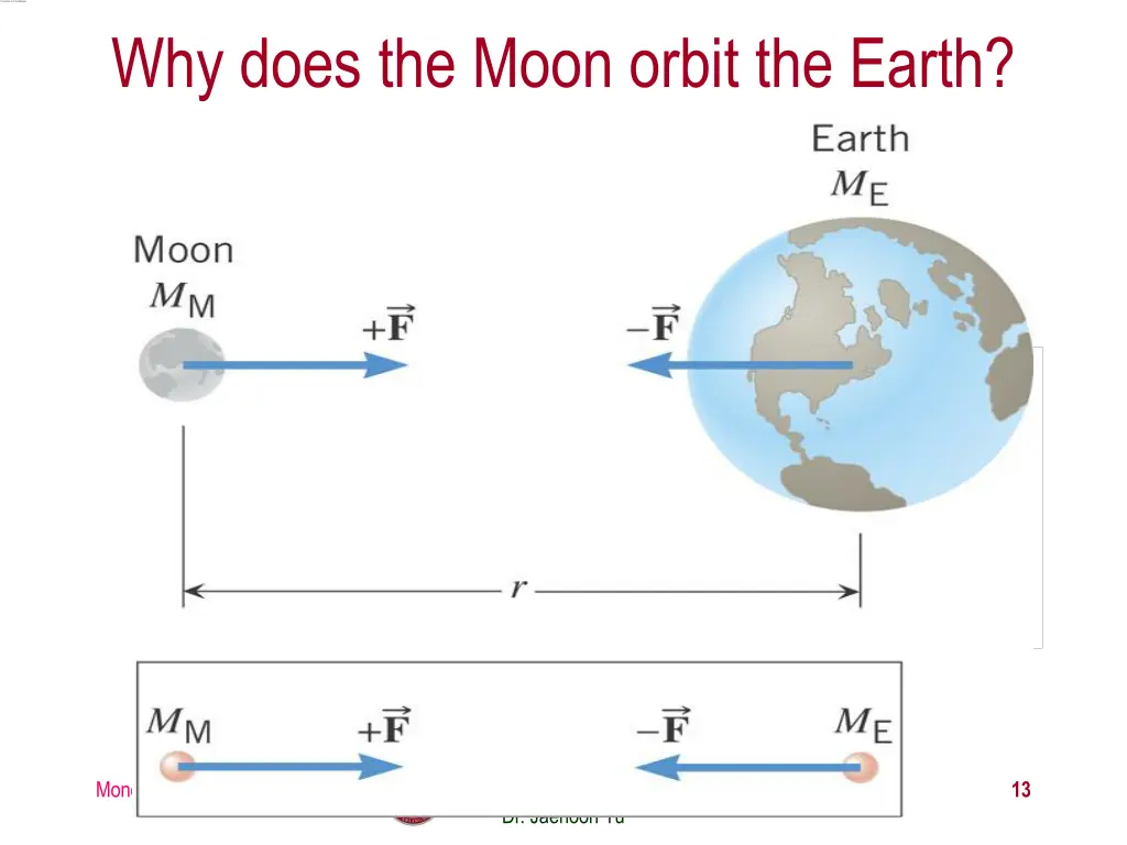 why does the moon orbit the earth