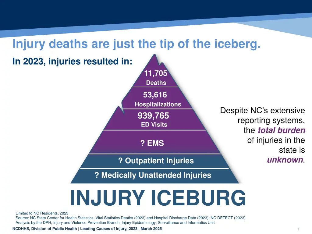 injury deaths are just the tip of the iceberg