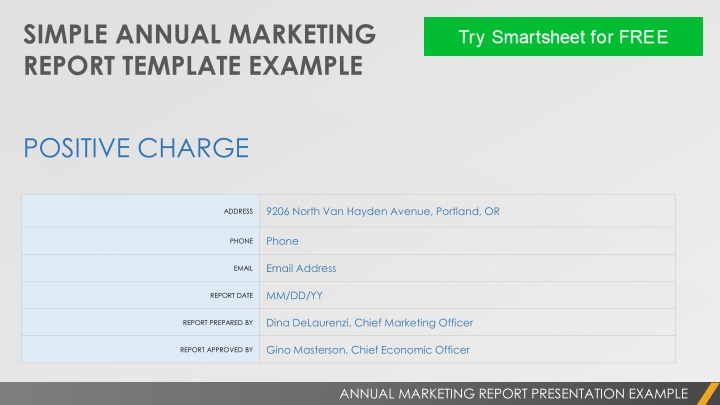 simple annual marketing report template example