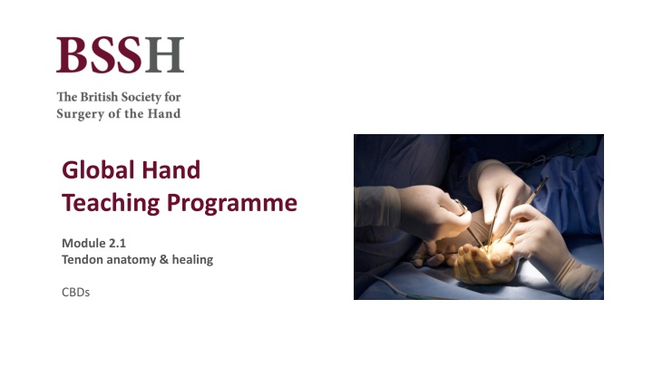 global hand teaching programme