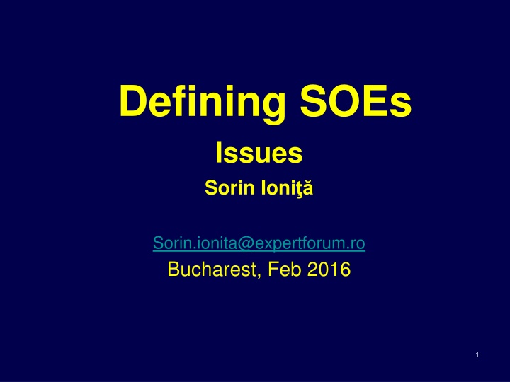 defining soes issues sorin ioni