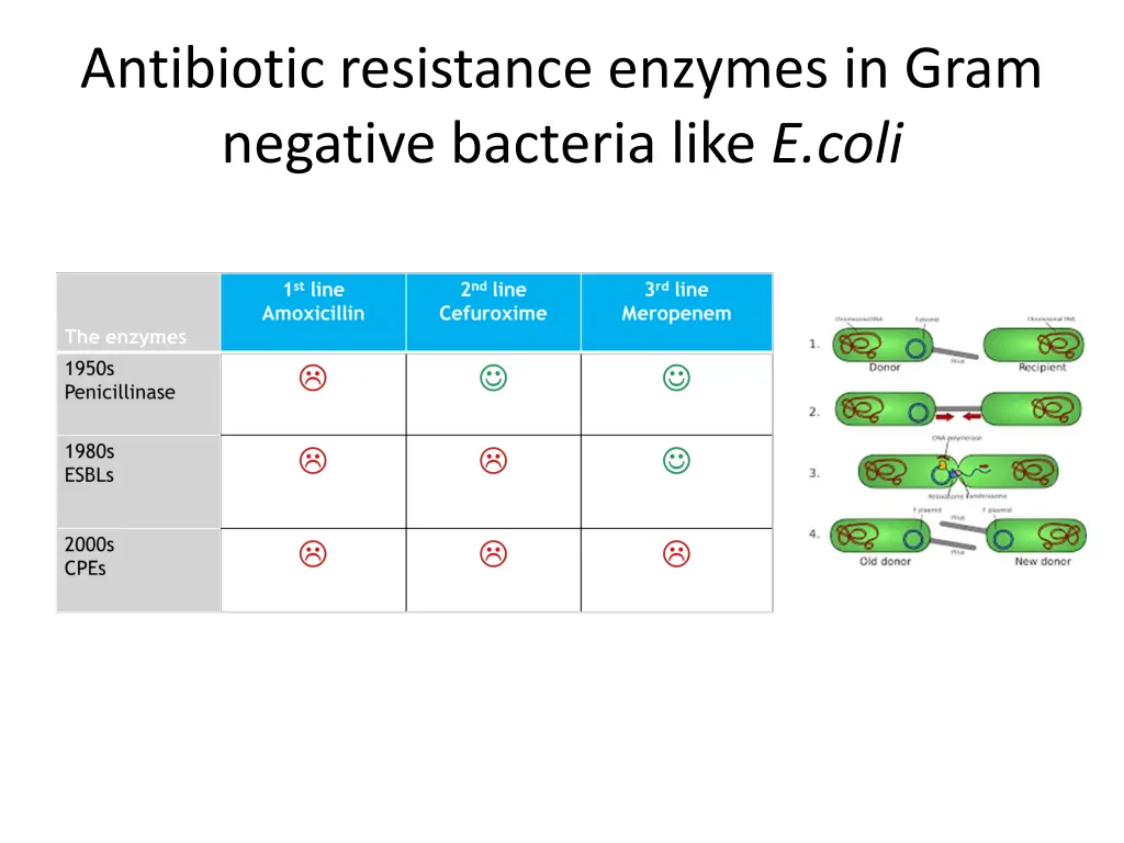 antibiotic resistance enzymes in gram negative