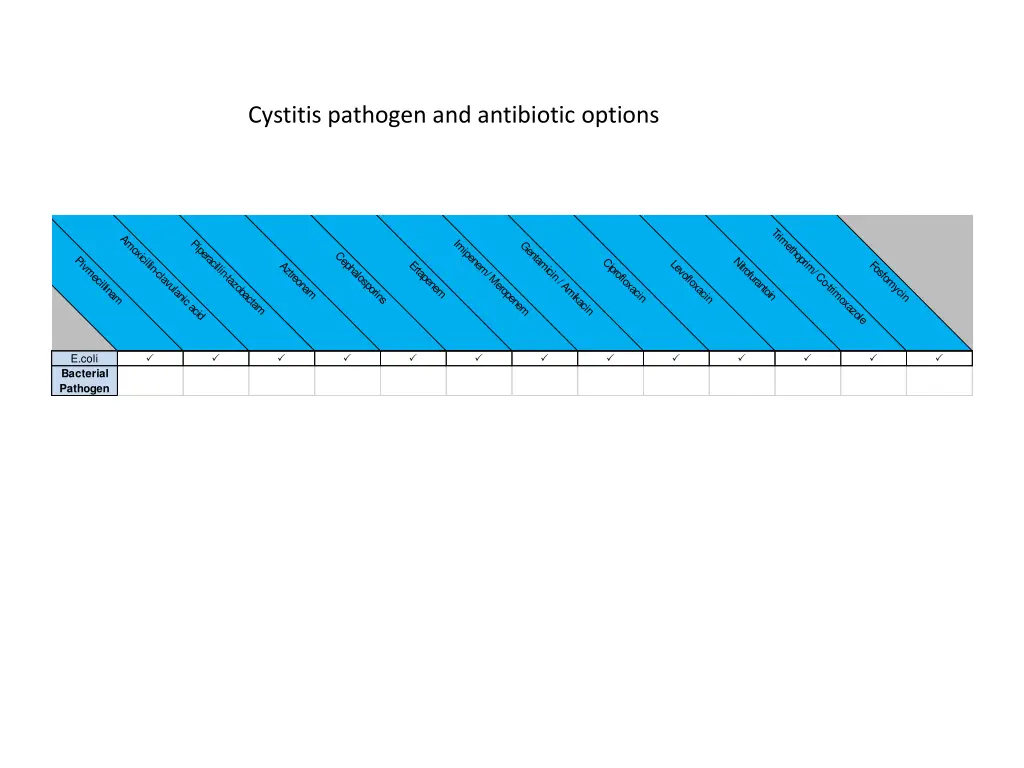 cystitis pathogen and antibiotic options