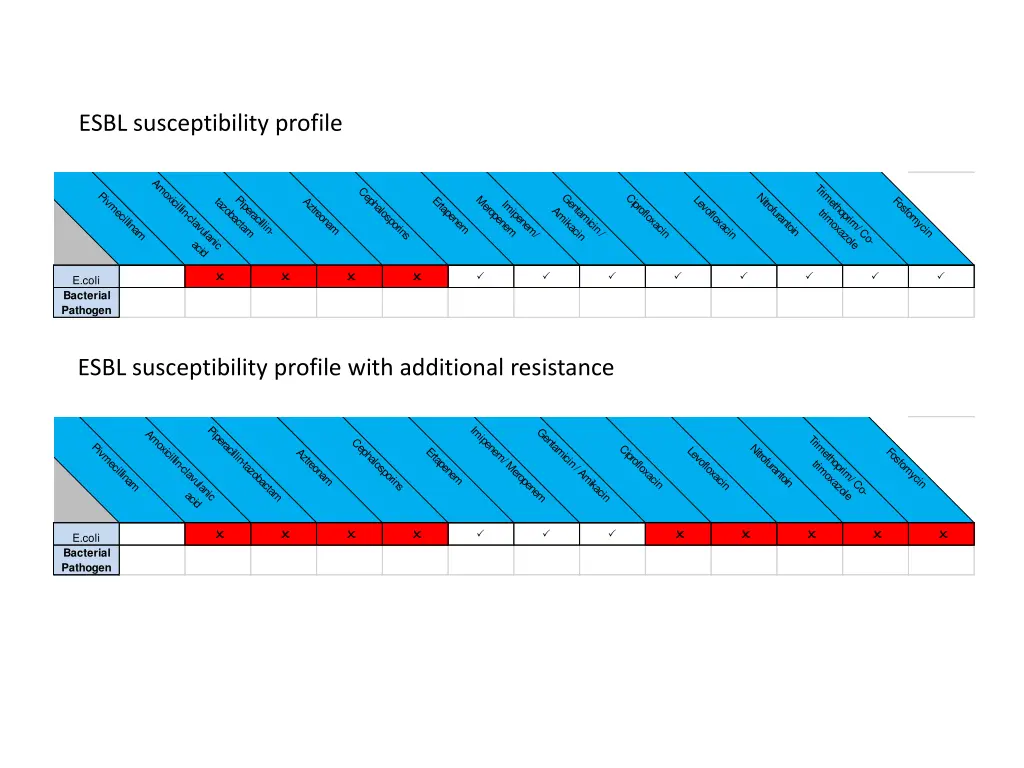esbl susceptibility profile