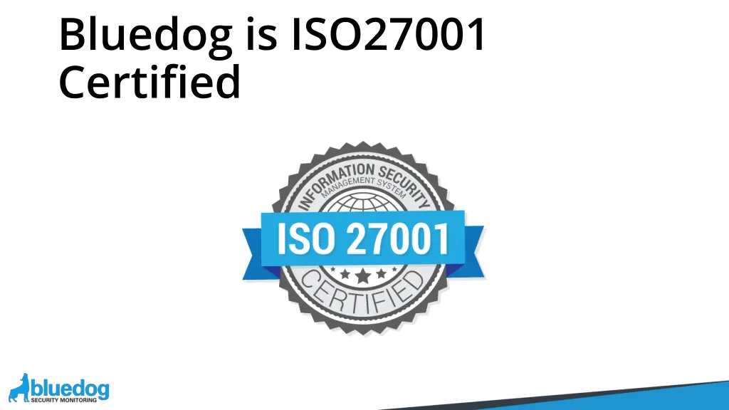 bluedog is iso27001 certified