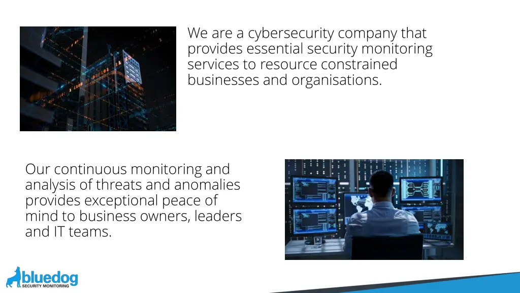 we are a cybersecurity company that provides