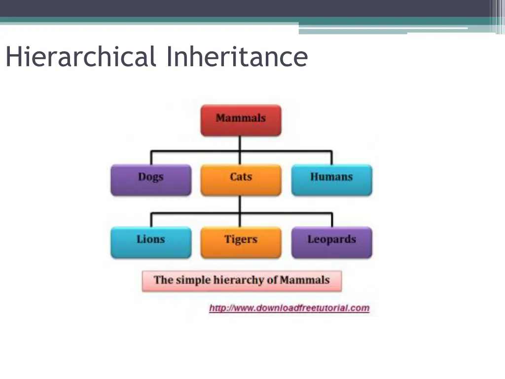 hierarchical inheritance 1