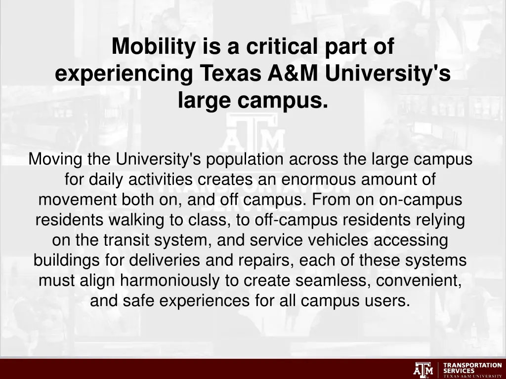 mobility is a critical part of experiencing texas