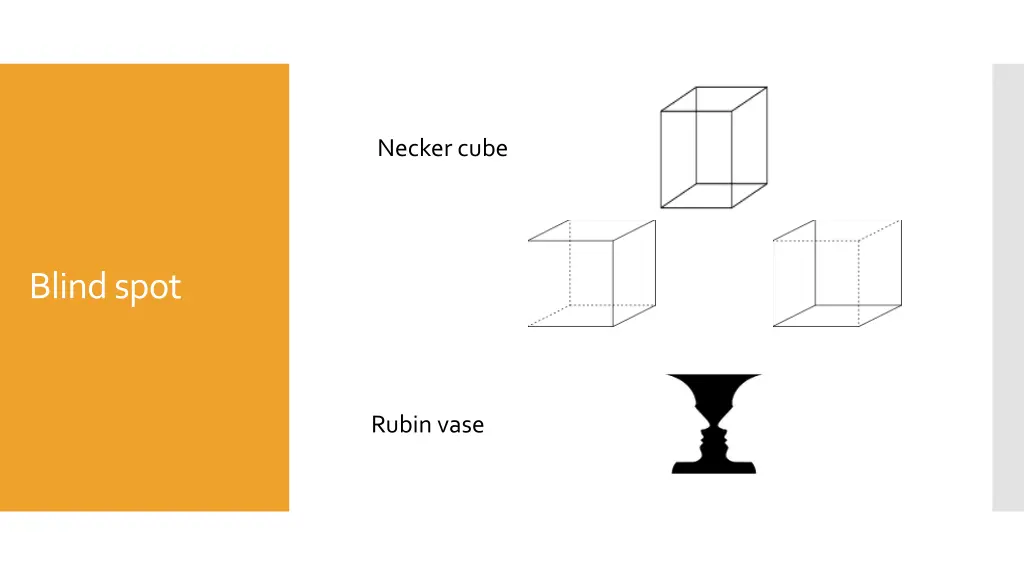 necker cube