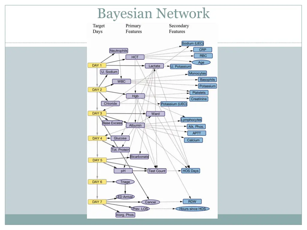 bayesian network