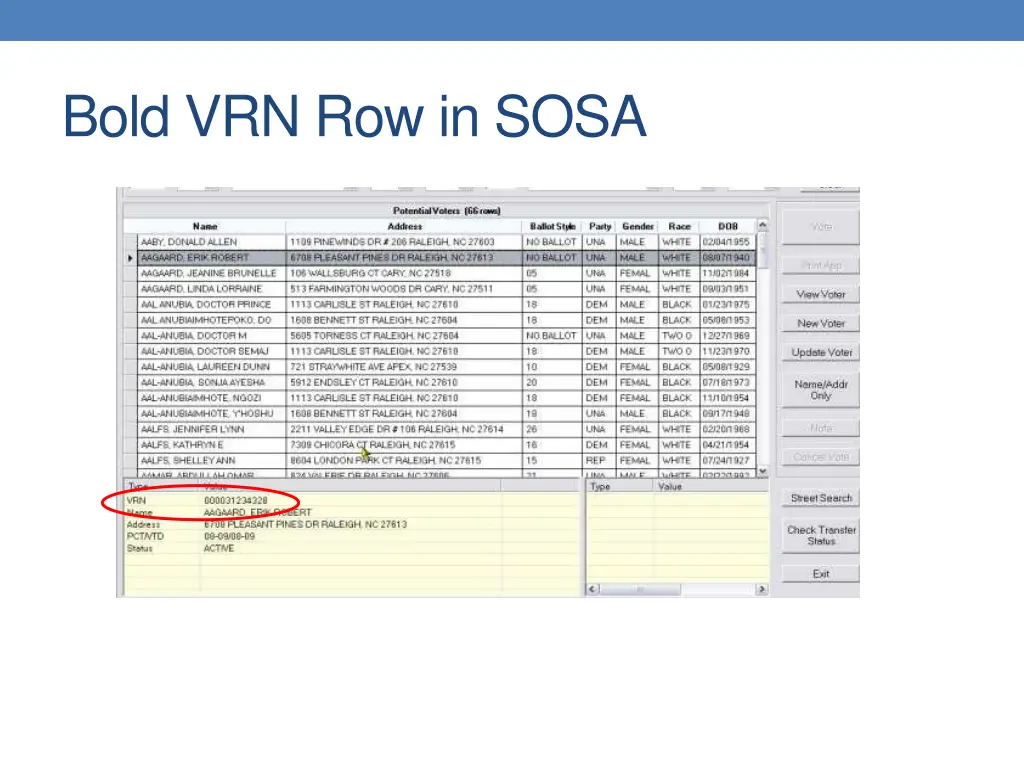 bold vrn row in sosa