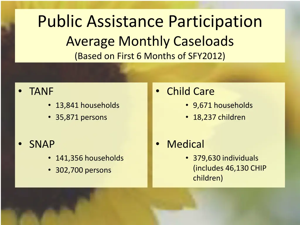 public assistance participation average monthly