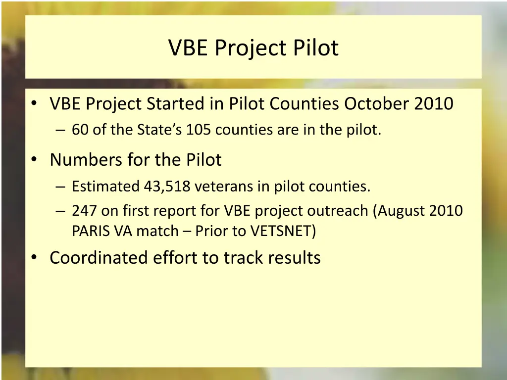 vbe project pilot