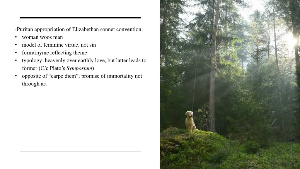 puritan appropriation of elizabethan sonnet