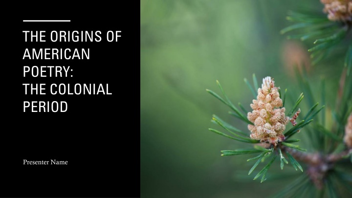 the origins of american poetry the colonial period
