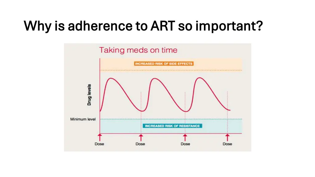 why is adherence to art so important