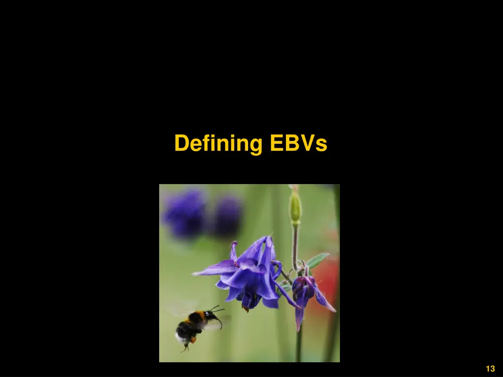defining ebvs