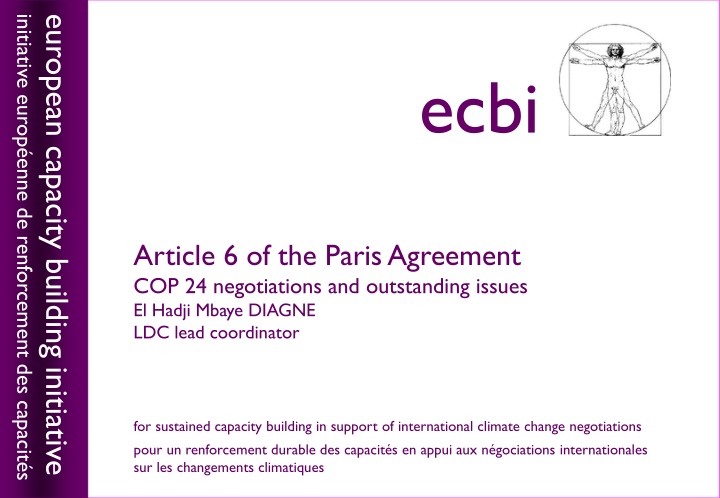 initiative europ enne de renforcement des capacit