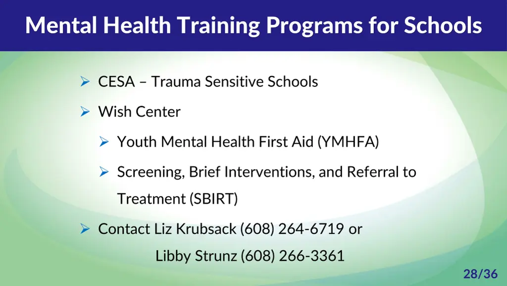 mental health training programs for schools