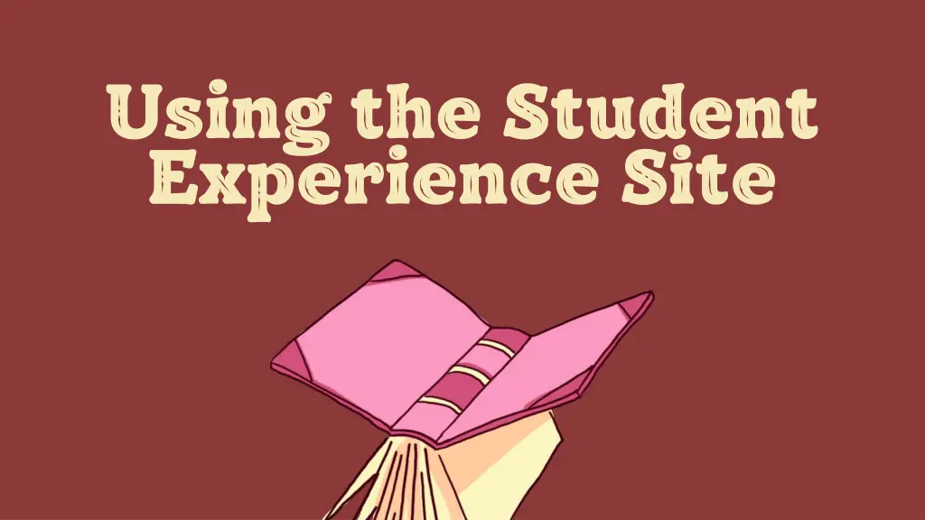 using the student experience site