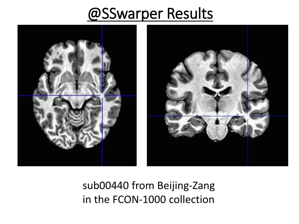 @ @sswarper sswarper results