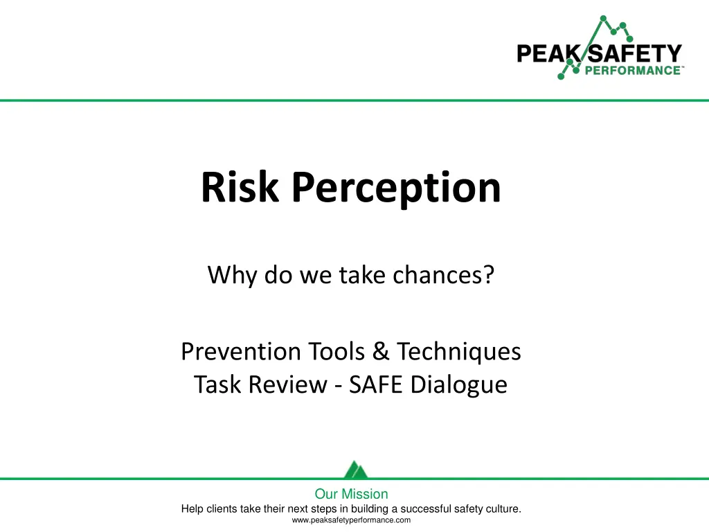 risk perception 2