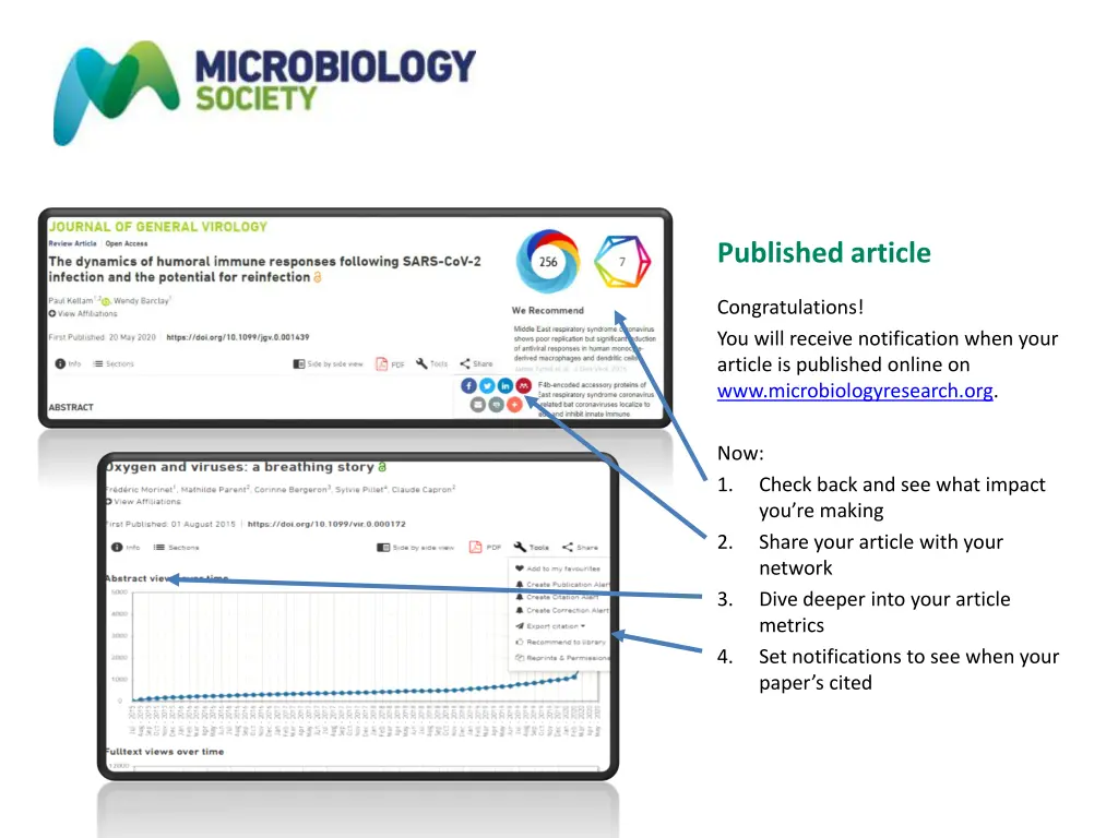 published article
