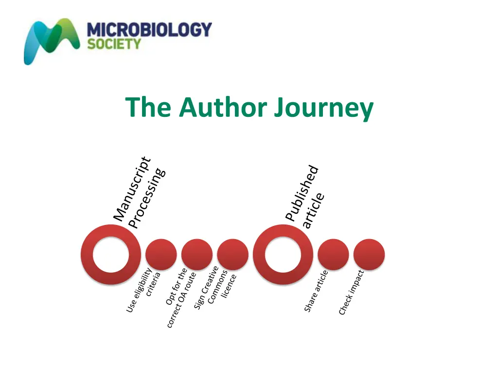 the author journey