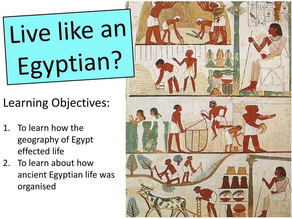 learning objectives 1