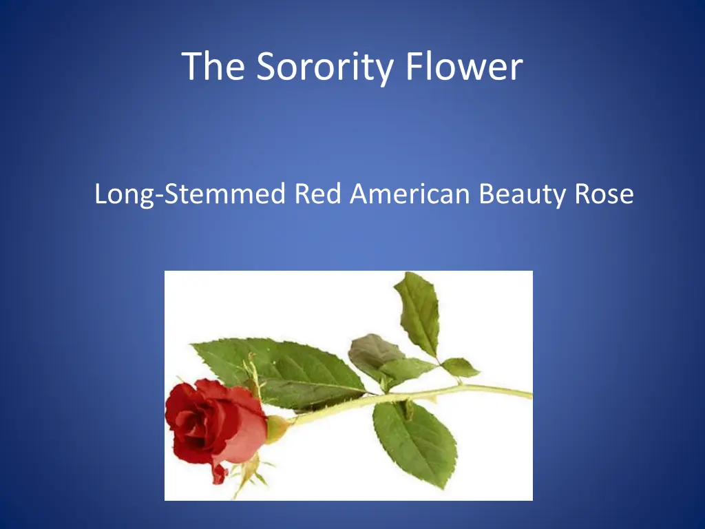 the sorority flower