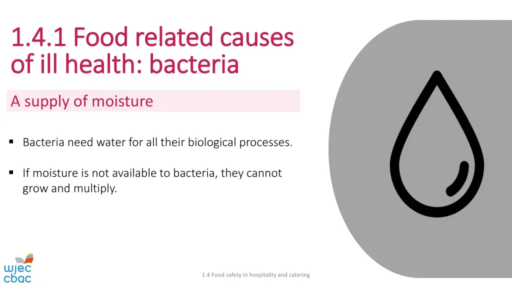 1 4 1 food related causes 1 4 1 food related