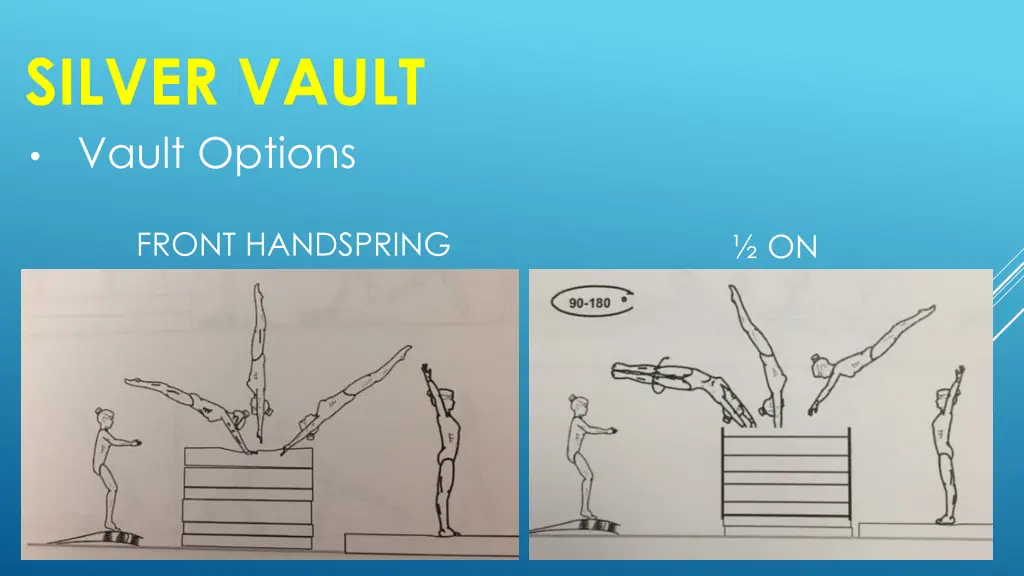 silver vault vault options