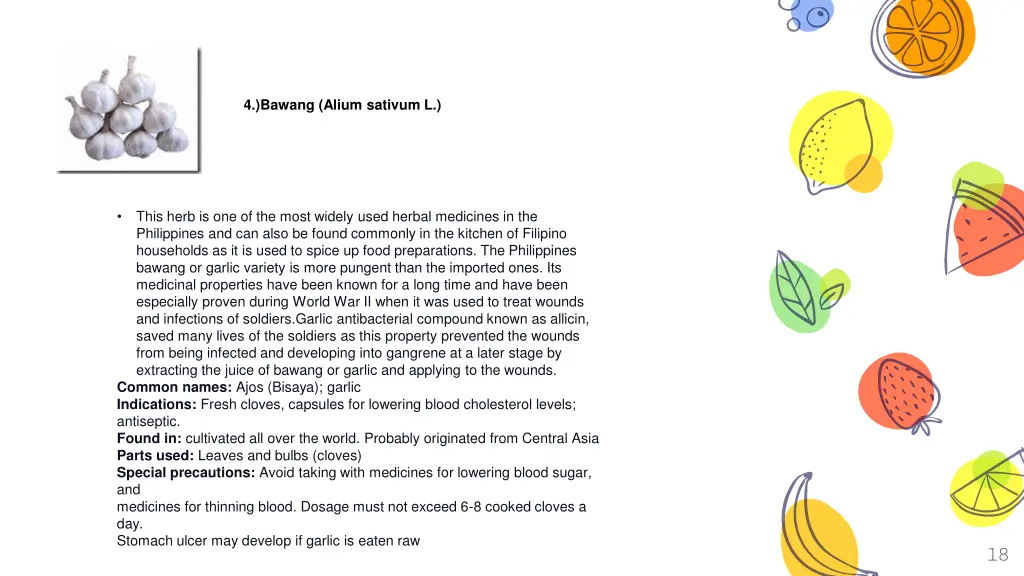bawang alium sativum l