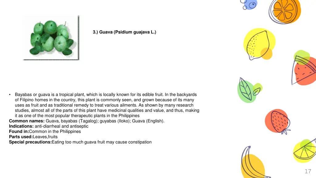 guava psidium guajava l
