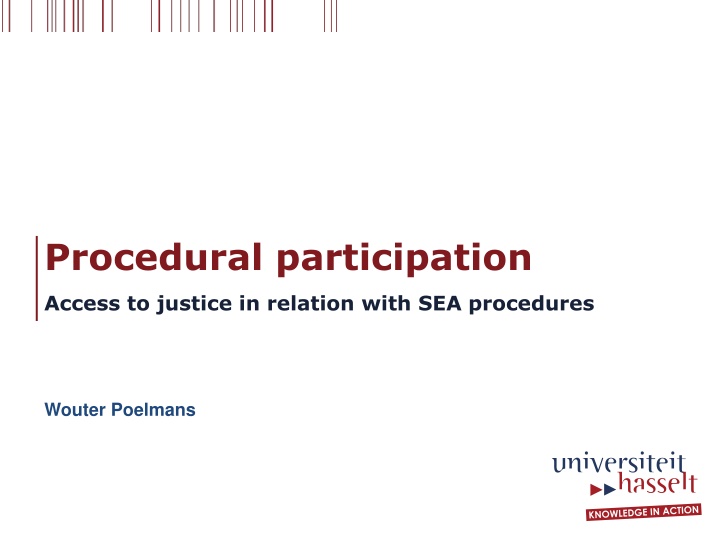 procedural participation