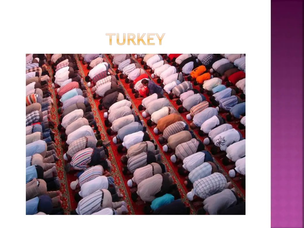 turkey 1