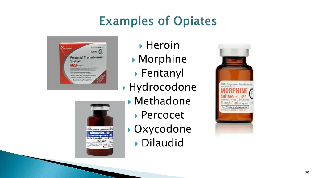 heroin morphine fentanyl hydrocodone methadone