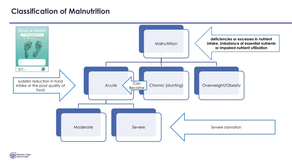 classification of malnutrition