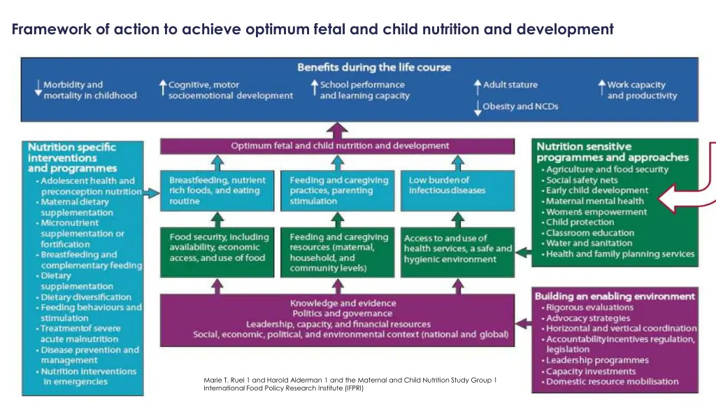 framework of action to achieve optimum fetal