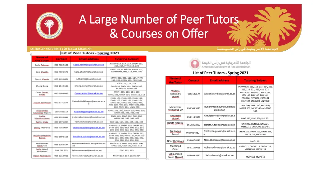 a large number of peer tutors a large number