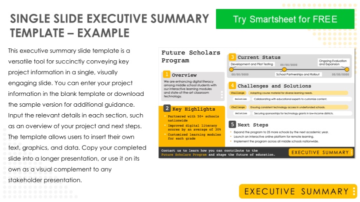 single slide executive summary template example