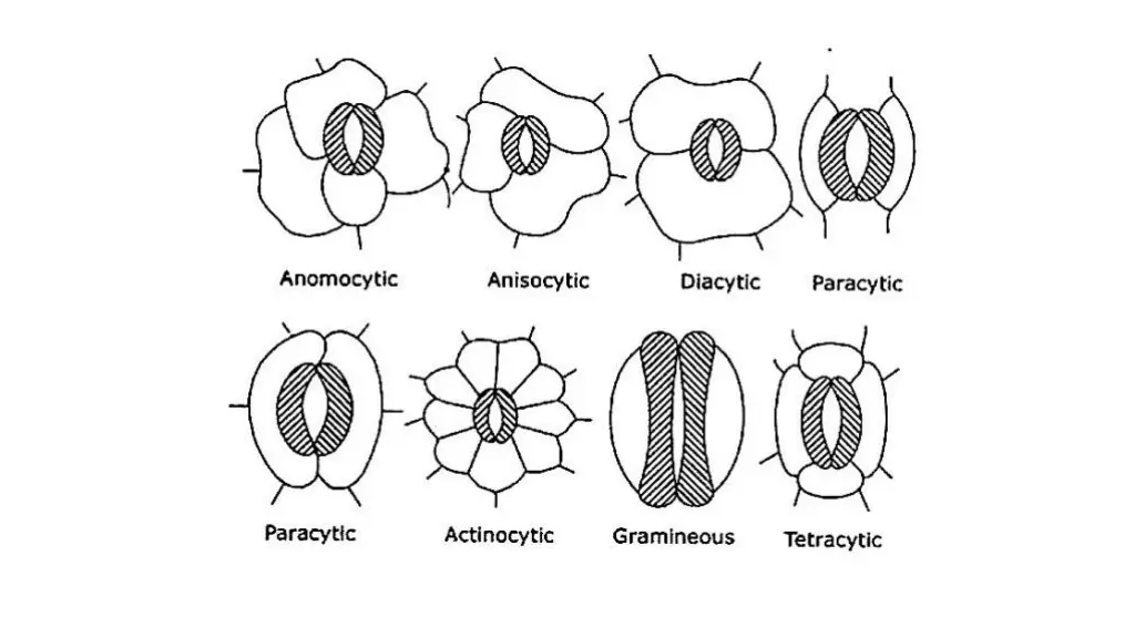 slide6