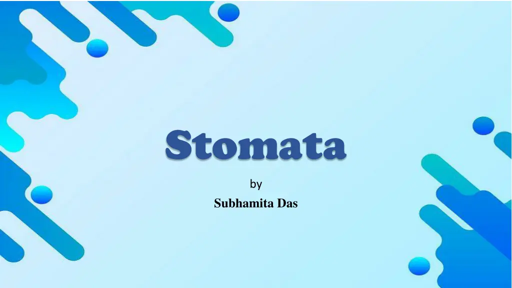 stomata
