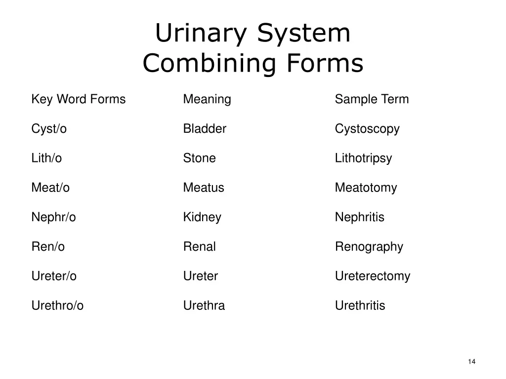 urinary system combining forms
