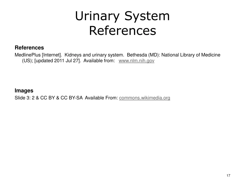 urinary system references
