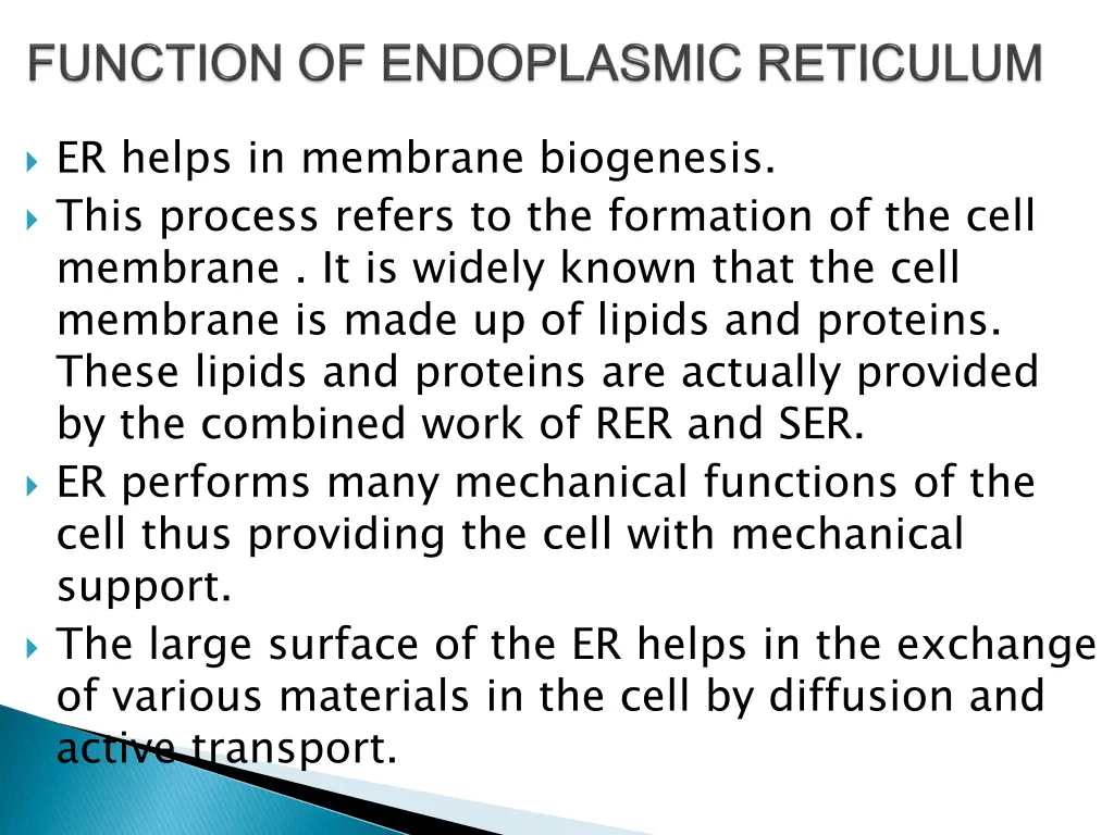 er helps in membrane biogenesis this process