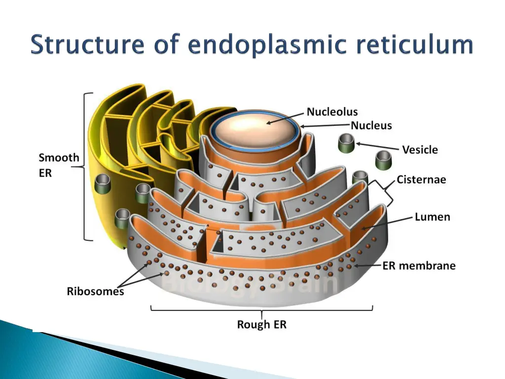 slide4