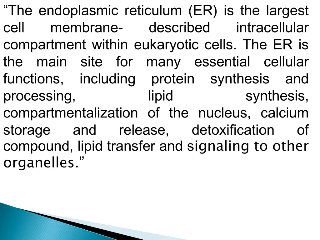 the endoplasmic reticulum er is the largest cell
