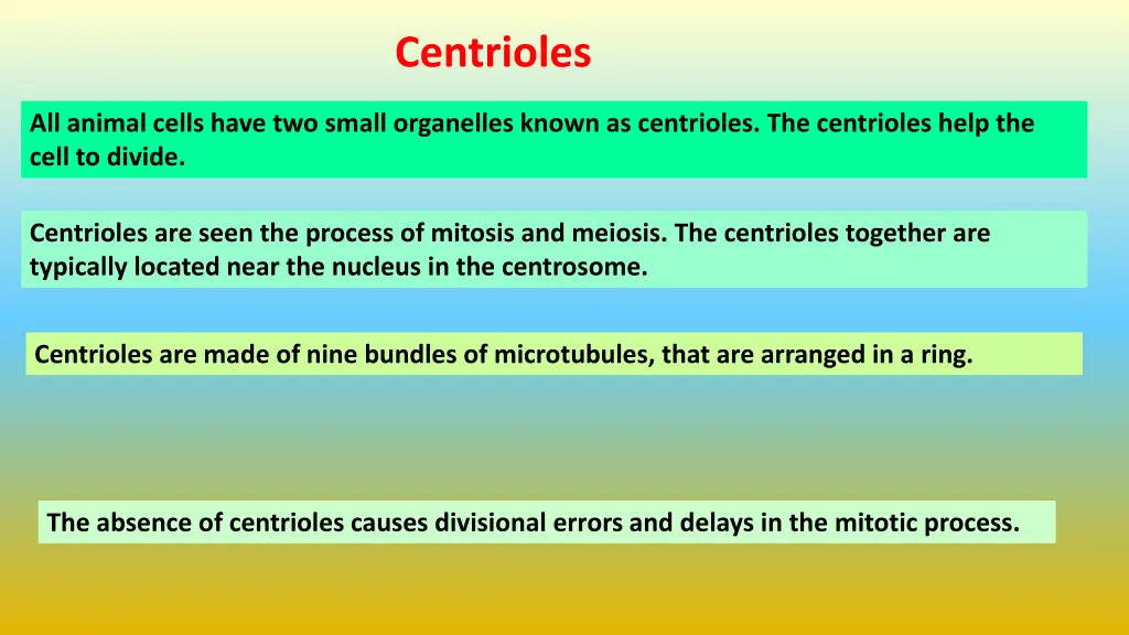 centrioles