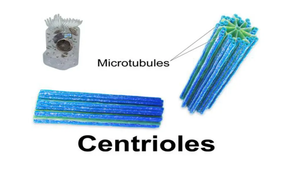slide8